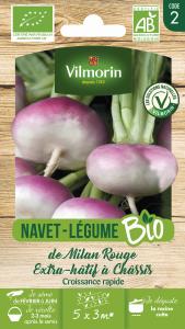 Navet-Légume de Milan Rouge Extra Hâtif à Châssis - BIO
